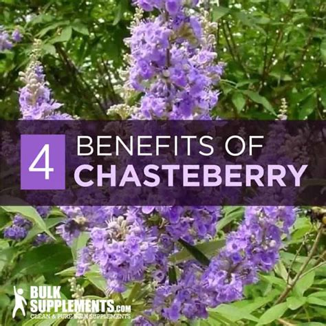 chstirbste|Chasteberry Extract. Regulate Hormones for。